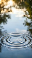Concentric water ripples spreading across calm lake surface with blurred autumn trees reflecting in background creating peaceful natural scene.