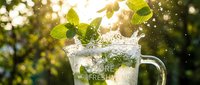 Fresh mint leaves splashing into a glass pitcher of cold water in sunlit garden, refreshing summer drink concept with bokeh background.
