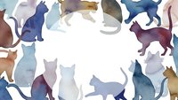 Watercolor cat silhouettes frame border with copy space for pet care, veterinary clinic designs, animal lover greeting cards and feline themed projects.