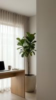 Modern minimalist home office corner with fiddle leaf fig plant in ceramic planter, wooden desk, and neutral beige curtains creating serene workspace atmosphere.