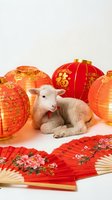 Young white goat surrounded by red and gold lanterns and decorative fans with traditional characters, celebrating lunar new year festival and spring traditions.