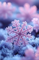 Delicate pink snowflake crystal with frost detail against blurred winter background in soft purple and blue tones, macro photography capturing nature's frozen artistry.