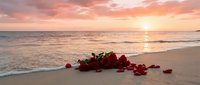Red roses scattered on sandy beach at golden sunset with ocean waves and romantic pink sky creating peaceful coastal scene for love and romance themes.