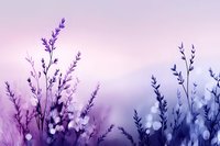 Purple and blue gradient floral background with delicate botanical silhouettes and soft bokeh lights for romantic design projects.