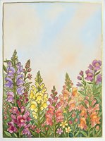 Watercolor snapdragon garden with colorful blooms in pink, yellow, purple and orange tones against a soft pastel sky background.