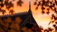 Traditional wooden temple roof with ornate carvings silhouetted against golden sunset sky, framed by tree branches for spiritual architecture design.