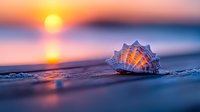 Seashell on sandy beach at sunset with golden sun reflection on water surface, creating dreamy atmosphere with orange and blue color palette.
