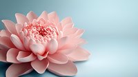 Pink dahlia flower with delicate layered petals in full bloom against soft blue background, macro photography showing intricate floral details and textures.
