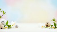 Easter spring background with quail eggs, white flowers and green leaves on pastel rainbow gradient for seasonal holiday decorations.