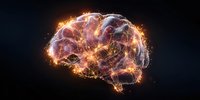 Glowing digital brain with neural network connections illuminated against dark background, representing artificial intelligence and cognitive science.