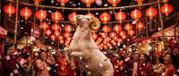 Majestic white horse rearing up in festive marketplace decorated with red lanterns, celebrating lunar new year with crowds and traditional decorations.