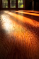Warm sunlight streaming across polished hardwood floor creating golden highlights and shadows in cozy interior space for home design concepts.