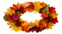 Vibrant autumn maple leaves arranged in oval wreath shape on white background, showcasing seasonal colors of red, orange, yellow and green.