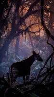 Okapi standing in mystical forest with purple twilight atmosphere and dramatic lighting filtering through dense woodland canopy creating enchanting wildlife scene.