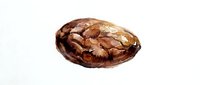 Whole grain bread roll with seeds isolated on white background, suitable for bakery, food, and culinary design projects.