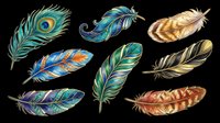 Decorative feathers in vibrant colors isolated on transparent background, ready for t-shirt designs, clipart, stickers, sublimation, print-on-demand products and digital crafts.