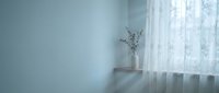 Minimalist interior with pale blue wall, sheer white curtains, and dried botanical stems in vase on windowsill, conveying calm and serene aesthetic for home decor and design projects.
