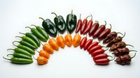 Colorful variety of fresh chili peppers arranged in a rainbow arc on white background, showcasing green, orange, red, and dark brown hot peppers.