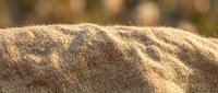 Close-up of natural linen fabric texture with warm sunlight highlighting woven fibers, suitable for textile, fashion, and interior design projects.