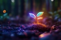 Glowing neon plant sprout emerging from dark soil with vibrant purple and blue leaves, symbolizing growth, innovation and environmental technology.