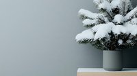 Snow-covered pine branches in modern gray ceramic pot against minimalist wall background, creating serene winter holiday atmosphere for contemporary decor.