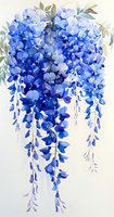 Cascading blue wisteria flowers with delicate petals and green leaves on light background, watercolor style botanical art for wall decor and textile design.