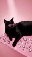 Adorable black cat wearing pink heart-shaped sunglasses surrounded by sparkling diamonds on pink background for Valentine's Day celebration.