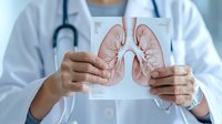 Asian female doctor holding anatomical model of human lungs in medical office, demonstrating respiratory system for patient education and diagnosis.