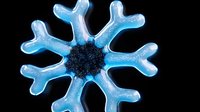Glowing blue snowflake crystal macro on black background with detailed structure and frosty translucent pattern, winter seasonal decoration element.