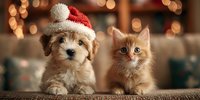 Adorable puppy wearing Santa hat sits next to orange kitten with warm bokeh lights creating festive holiday atmosphere for seasonal greeting cards.