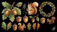 Autumn squirrel and acorn clipart set isolated on transparent background, ready for t-shirt design, stickers, print-on-demand products, sublimation, and digital crafts.