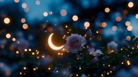Delicate pink rose blooms against twilight backdrop with glowing crescent moon and magical bokeh lights creating dreamy romantic atmosphere.
