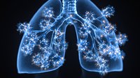 Glowing blue lung anatomy with branching coronavirus particles spreading through respiratory system, medical science visualization on black background.
