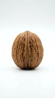 Whole walnut with textured shell isolated on white background, suitable for food, nutrition, and healthy eating design projects.