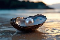 Single white pearl in open oyster shell on wet sandy beach at sunset, with gentle waves and golden light reflecting on water surface. Natural luxury concept.