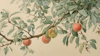 Delicate watercolor illustration of fruit tree branch with ripe peaches or apricots hanging among green leaves against soft beige background.