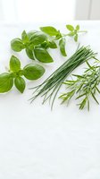Fresh herbs collection with basil, chives and rosemary sprigs arranged on white background for culinary cooking and kitchen garden concepts.