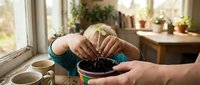 Senior Caucasian woman planting seeds in small pot at sunny kitchen table with coffee cups and houseplants creating cozy indoor gardening atmosphere.