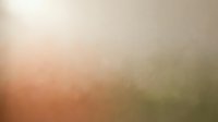 Soft blurred gradient background with warm peach and olive green tones creating dreamy atmospheric effect for design projects and presentations.