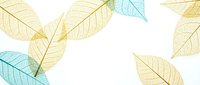 Delicate transparent leaf skeletons in yellow and turquoise tones on white background. Natural botanical elements for organic design projects.