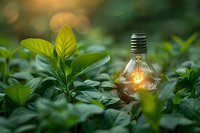Glowing lightbulb nestled among fresh green leaves with soft bokeh background, symbolizing eco-friendly energy solutions and sustainable innovation in nature.