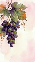 Watercolor grape cluster with vine leaves and tendrils on soft pink background for wine labels, kitchen decor, botanical art and culinary designs.