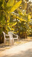 White plastic chairs under tropical banana trees with golden sunlight filtering through lush green foliage creating peaceful outdoor relaxation space.