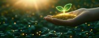 Hand holding soil with glowing green seedling against dark background with magical light effects and bokeh, representing growth, sustainability and hope.