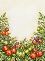 Botanical garden border frame with hand-drawn tomato plants, ripe red and purple fruits, green foliage, and yellow flowers on cream background. Isolated design element.
