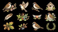 Isolated woodland birds with floral elements and botanical accents on transparent background. Ready for t-shirt design, clipart, stickers, sublimation, print-on-demand products and digital crafts.