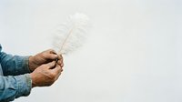 Close-up of male hands holding white feather against neutral background, isolated for design use on apparel, posters, and marketing materials.