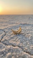 Golden banana resting on white salt crystals at beach shore during sunset, with calm ocean and golden sky in background. Surreal coastal scene.