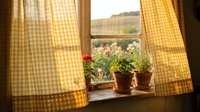 Sunny window with yellow gingham curtains framing potted flowers and countryside landscape view, evoking rustic charm and peaceful rural living.