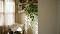 Cozy living room corner with floating wooden shelves, trailing green plant, comfortable beige armchair and natural sunlight streaming through window curtains.